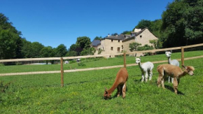 La Ferme des Andes